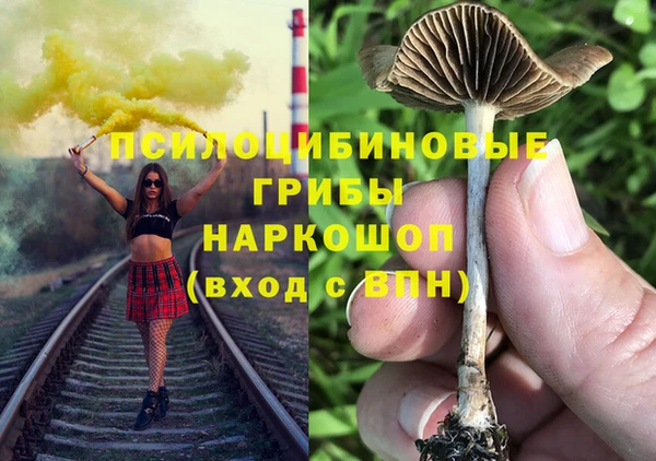 эйфоретик Богородск