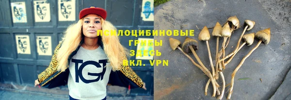 марки nbome Богданович