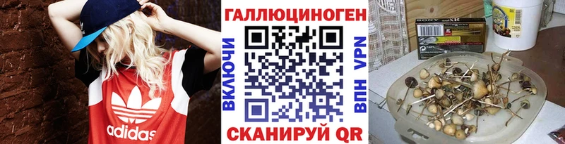 купить наркотики сайты  Волжск  Галлюциногенные грибы MAGIC MUSHROOMS 